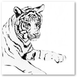 White Bengal Tiger Art Poster
