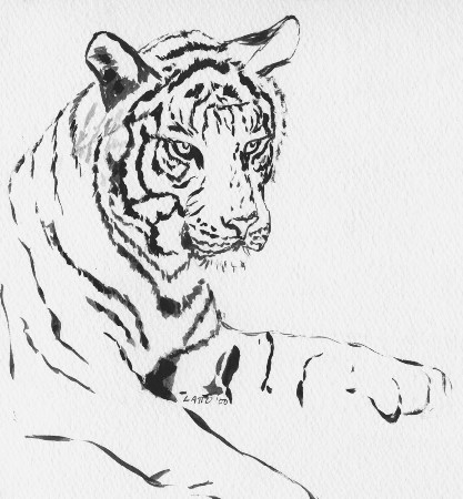 Orange Tiger