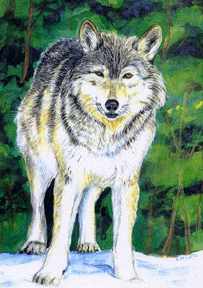 Wolf Wilderness Painting