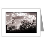 Brush Backlight Card