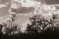 Brush Backlight