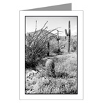 Cowboy Garden Card