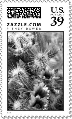 Petal Opposites Stamp