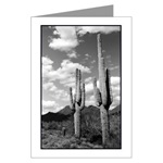 Saguaro Sentinels Card