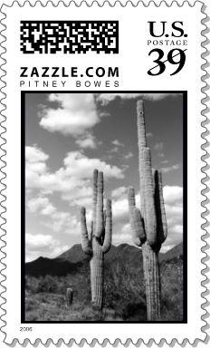 Saguaro Sentinels Stamp