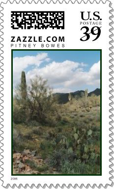 Cactus Coloring Photo