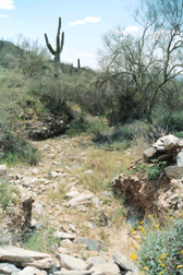 Riverbed Remembrance Photo