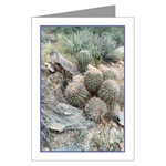 Saguaro Swirl Card