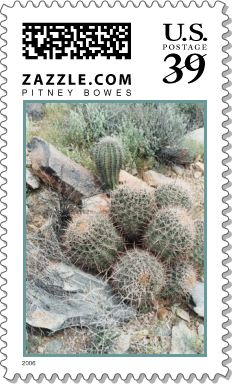 Saguaro Swirl Stamp