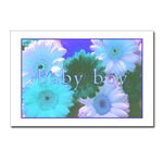 Baby Boy Postcard
