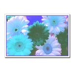 Blue Moon Postcard