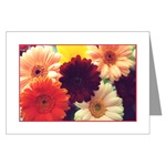 Vibrant Daisy Card