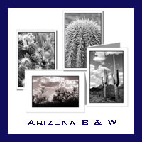 Arizona Desert - Black & White
