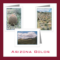 Arizona Desert - Color