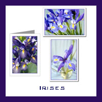 Iris Photos