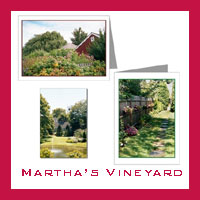 Martha's Vineyard