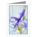 Awaken Iris Card