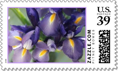 Cascade Iris Stamp