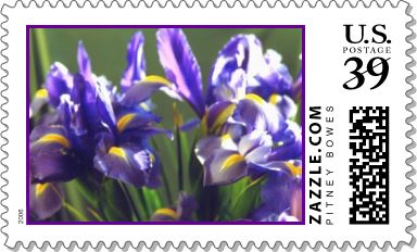 Twirl Iris Stamp