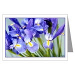Spring Iris Card