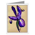 Aeronautical Iris Card