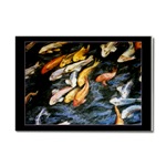 Michelle's Koi Fish Magnet