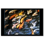 Michelle's Koi Fish Mini Poster