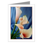 Silk Parade Lily Card