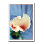 Vortex Lily Postcard