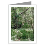 Primordial Landscape Card