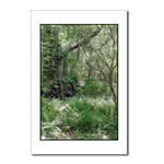 Primordial Landscape Postcard