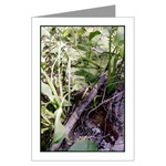 Snake Sunbath Card