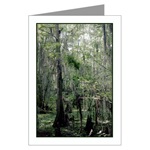 Swamp Serenity Card
