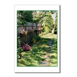 Imaptiens Pathway Postcard