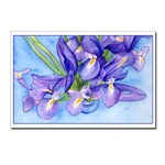 Iris Vase Painting