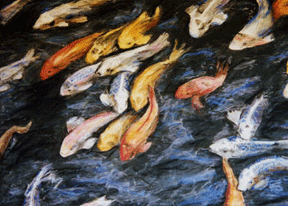 Michelle's Koi Fish Painting