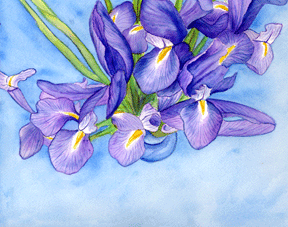Iris Vase