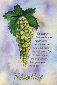 Riesling Wine Grapes 