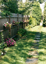 Imaptiens Pathway Photo