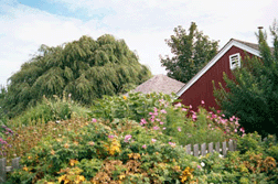 Tavern Garden Photo