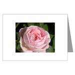 Pink Rose Card