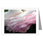 Pink Rose Card