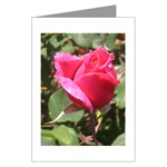 Pink Rose Card