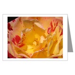 Yellow Rose Card
