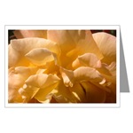 Yellow Rose Card