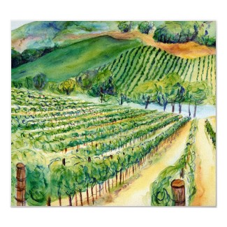 California Wine Vineyard'